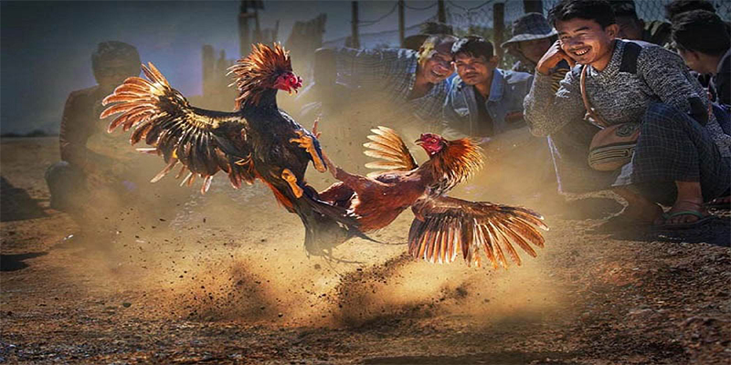 kuwin9 chơi bắn cá đổi thưởng