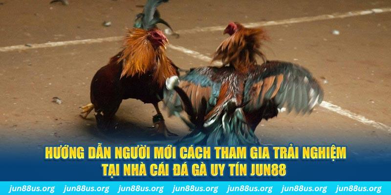 kuwin9 CQ9 Điện Tử