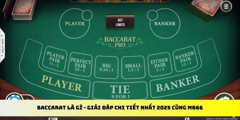 kuwin9 gà chọi cu cần