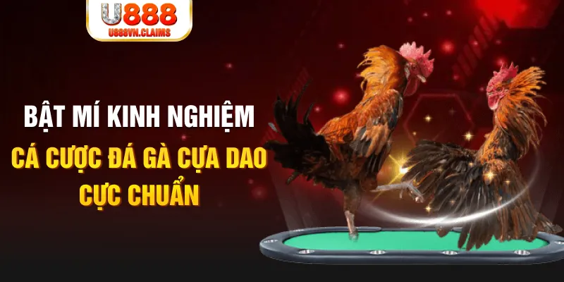 kuwin9 tỷ lệ cá cược châu á là gì