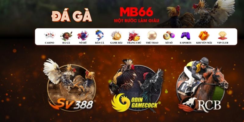 kuwin9 đăng nhập poker số 1