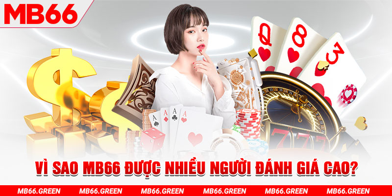 kuwin9 đá gà