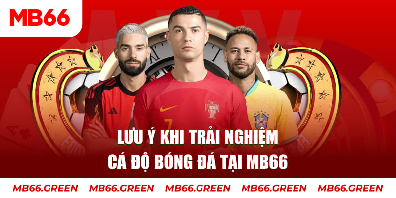 kuwin9 cá cược là gì