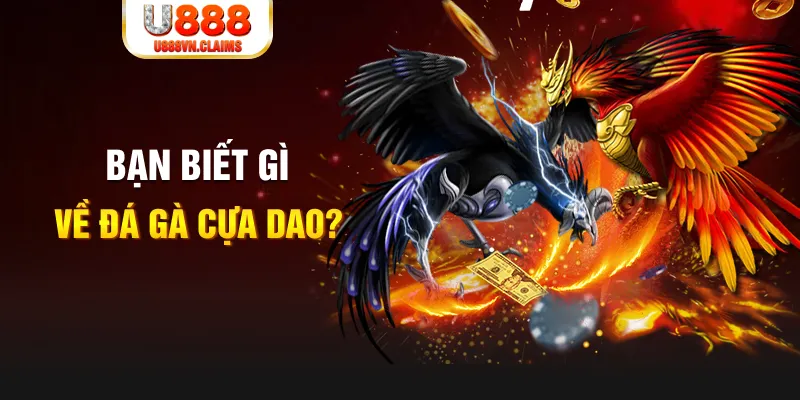 kuwin9 nổ hủ là gì