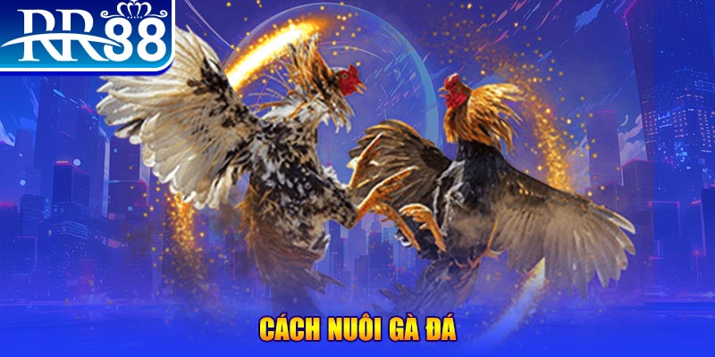 kuwin9 xổ số an giang