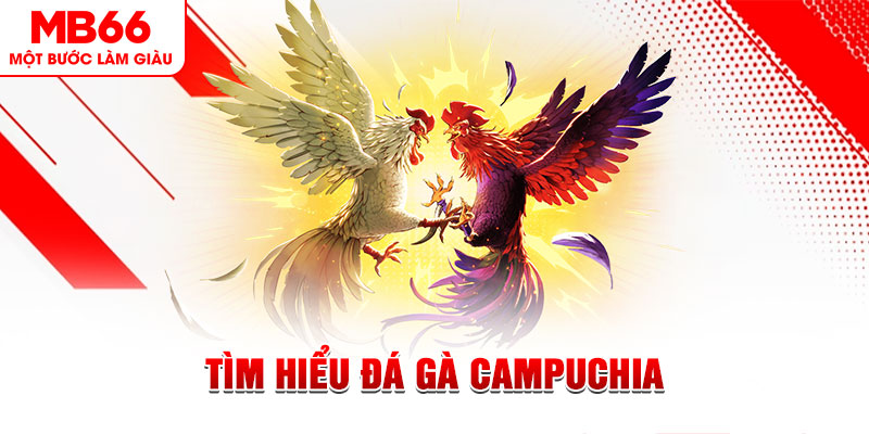 kuwin9 game đánh bài trên máy tính