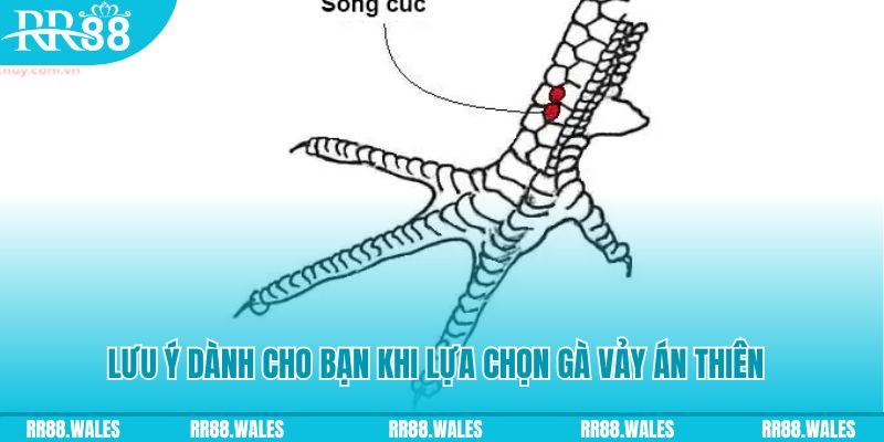 kuwin9 xổ số đồng nai