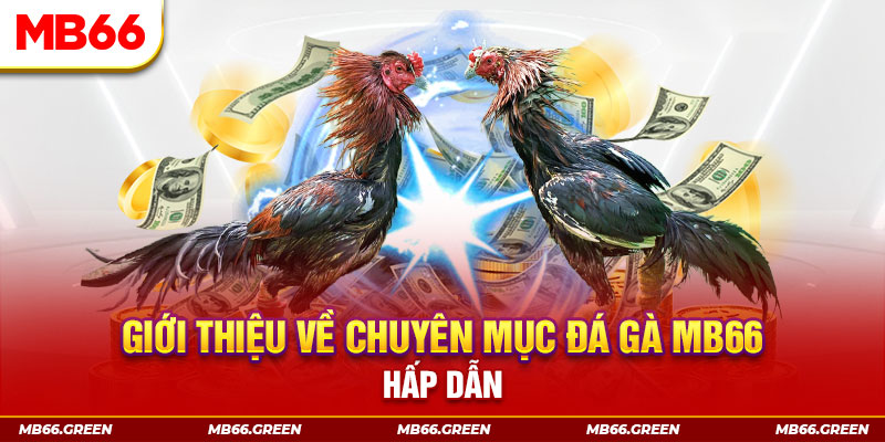 kuwin9 đăng nhập sòng bạc đổi thưởng