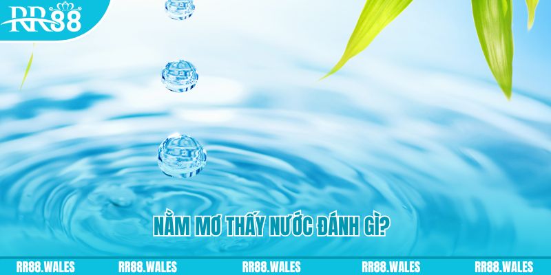kuwin9 TP Bắn cá