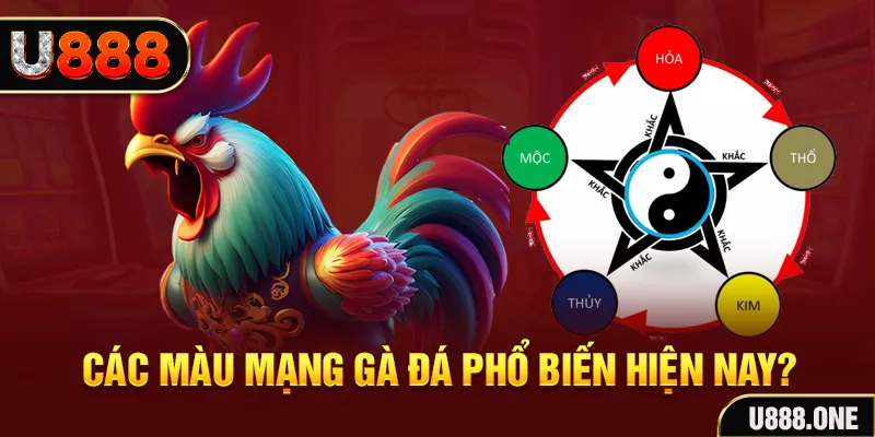 kuwin9 trực tiếp đá gà 88