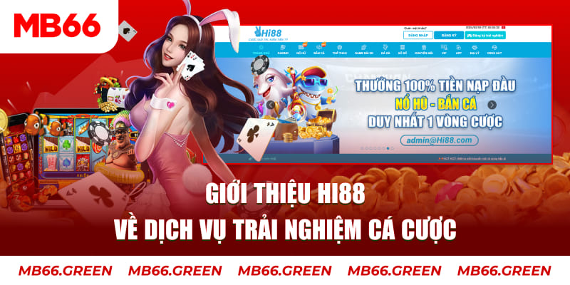 kuwin9 ga choi hoa phong