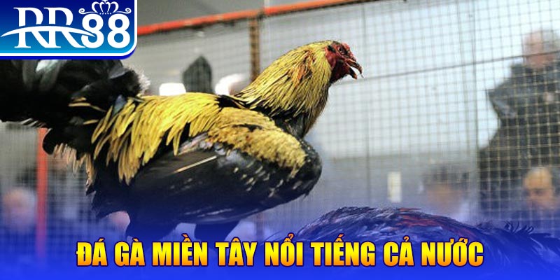 kuwin9 JILI Game Bài 3d