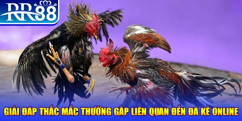 kuwin9 slot machine là gì