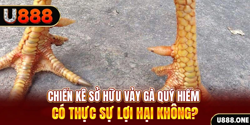 kuwin9 nohu .mx nổ hủ là gì