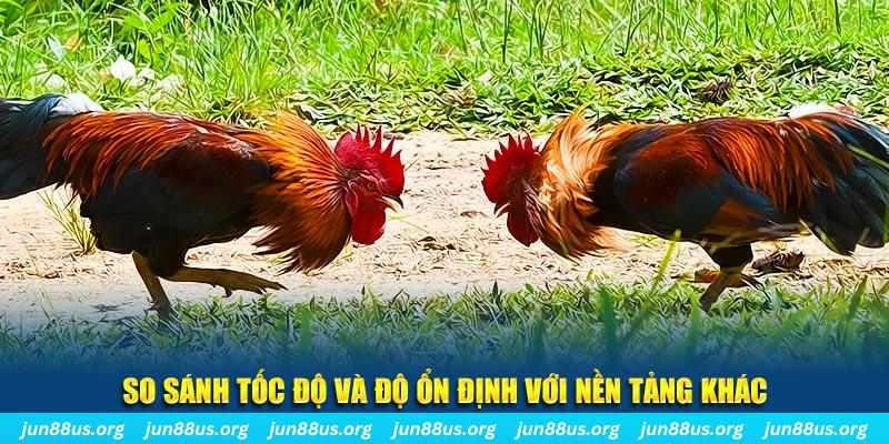 kuwin9 đá gà hôm nay