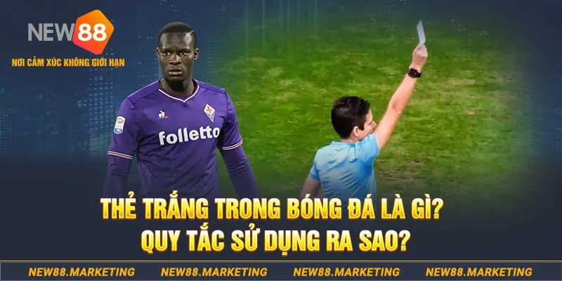 kuwin9 gà chọi mộc hóa