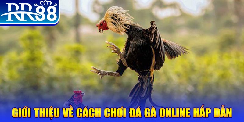 kuwin9 game nổ hũ rút tiền mặt là gì