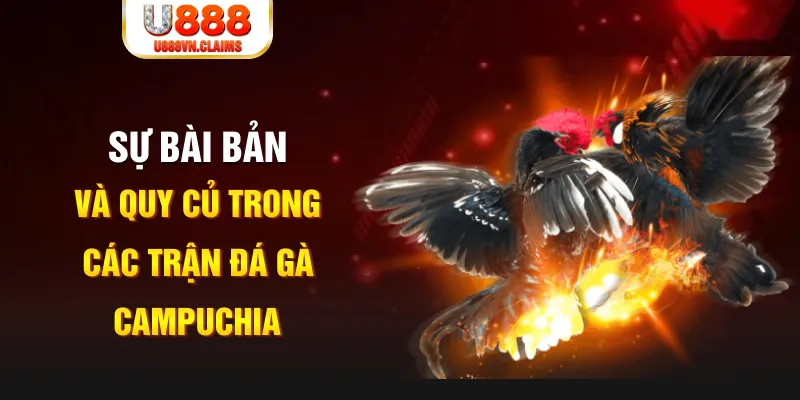 kuwin9 YGR Điện Tử