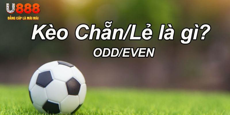 kuwin9 đăng nhập poker hôm nay