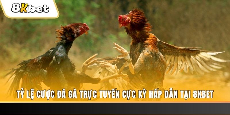 kuwin9 xổ số trực tiếp miền bắc