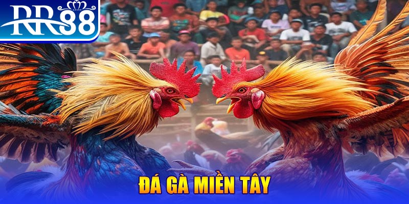 kuwin9 chơi slot là gì