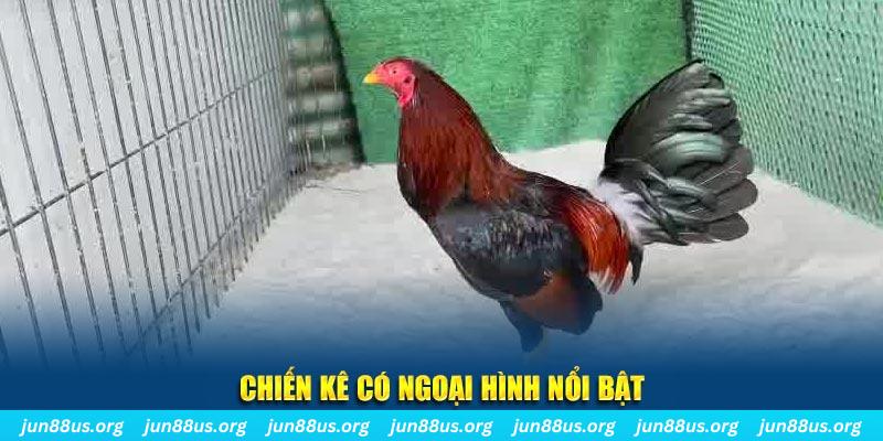 kuwin9 chạy quảng cáo cho game bài bị phạt như thế nào