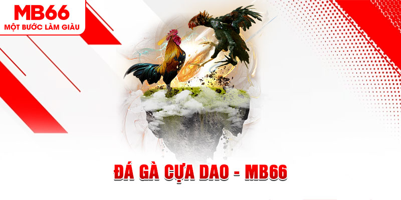 kuwin9 đá gà sv388 gold