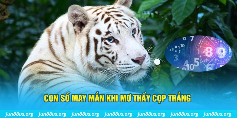 kuwin9 đá gà trực tiếp 88